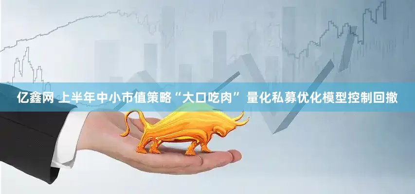 亿鑫网 上半年中小市值策略“大口吃肉” 量化私募优化模型控制回撤
