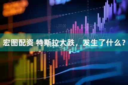 宏图配资 特斯拉大跌，发生了什么？