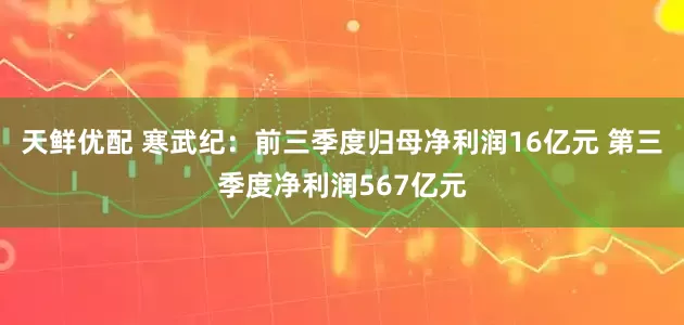 天鲜优配 寒武纪：前三季度归母净利润16亿元 第三季度净利润567亿元